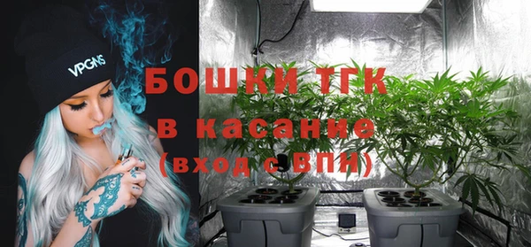 шишки Балахна