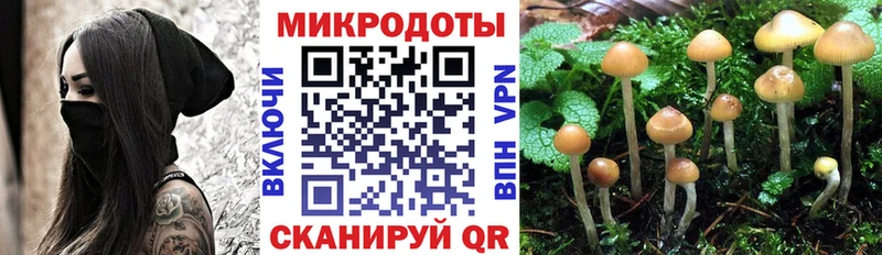 как найти закладки  Сланцы  Псилоцибиновые грибы MAGIC MUSHROOMS 